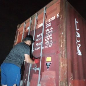 TEMU3113705 (1)